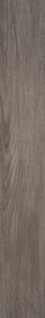 Dutch Elm Tinsmith