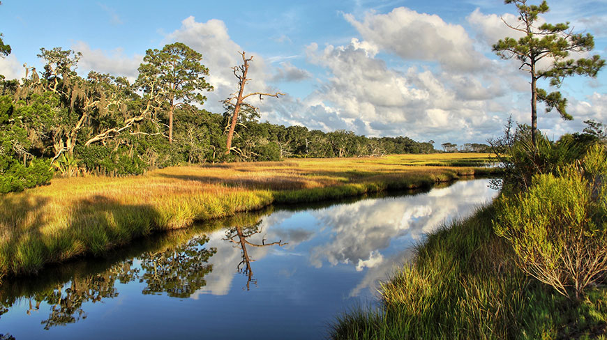 8213-US-GA-Jekyll-Island-Marsh-c.jpg