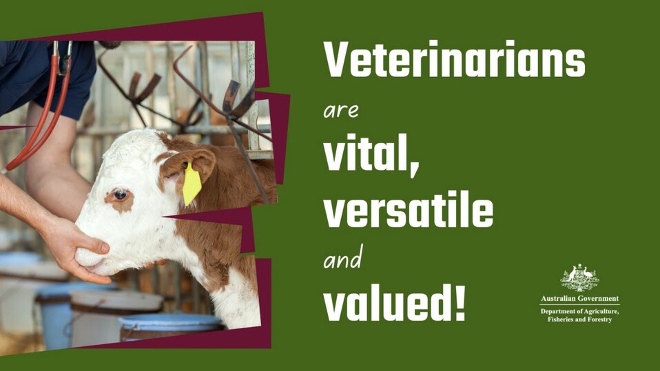 vets valued 3.jpg