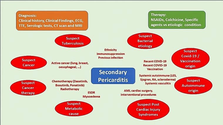 325_Coletti Moia_Central Figure_vFINAL_escardio-hPhotoLarge.jpg