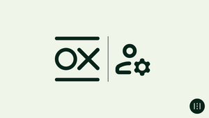 Web Experimentation for Optimization Managers