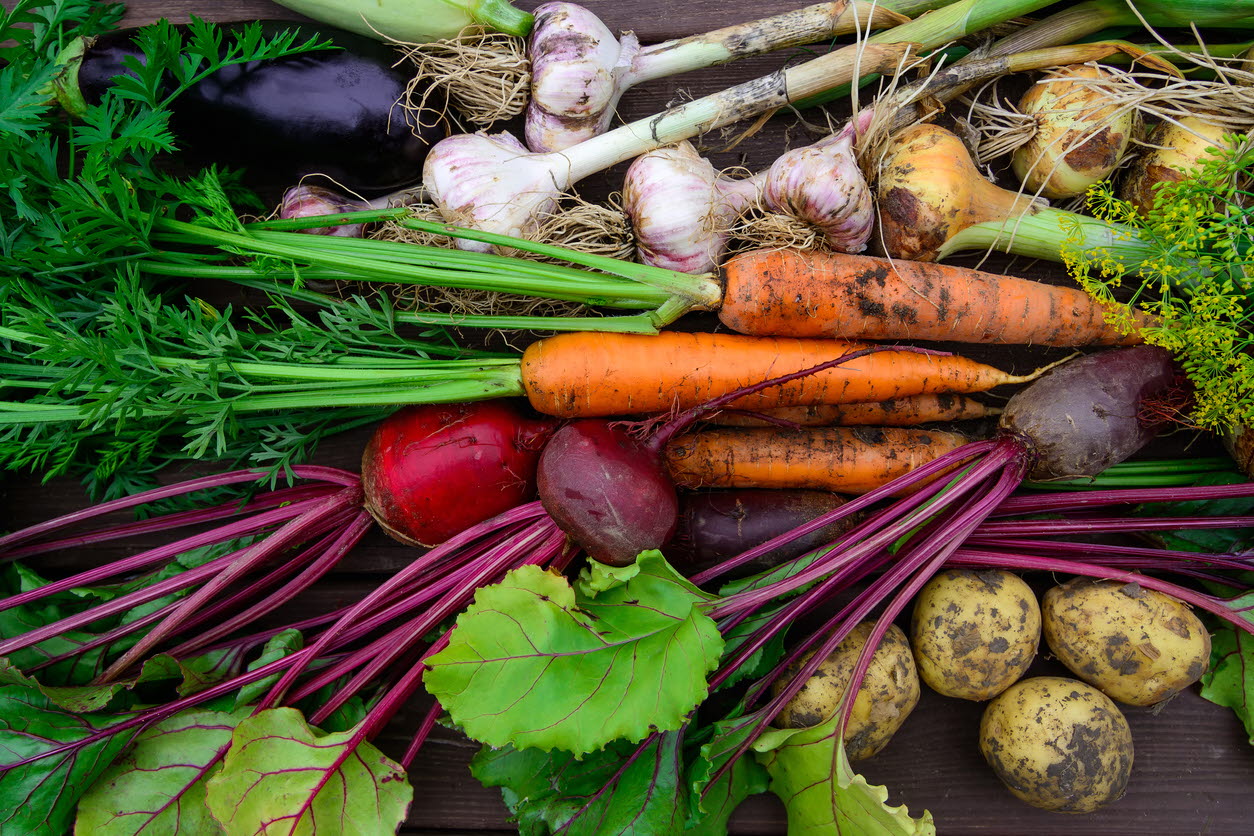 Veges with dirt - toxoplasmosis