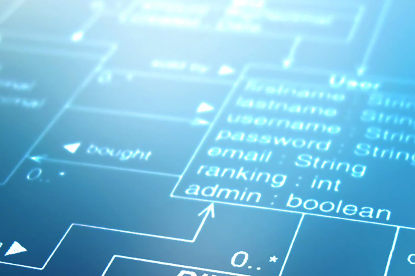 The Platform Economies Research Network