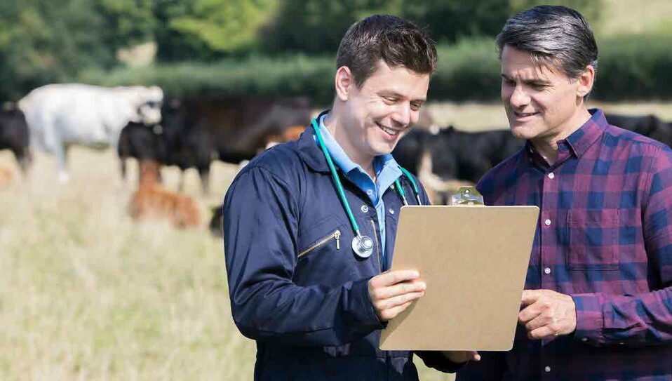 farmer - vet