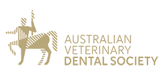 dental society - AVDS - logo