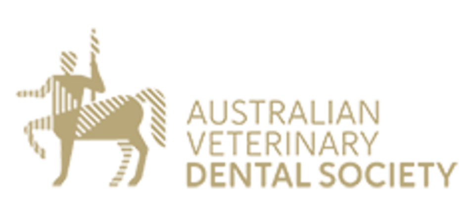 dental society - AVDS - logo