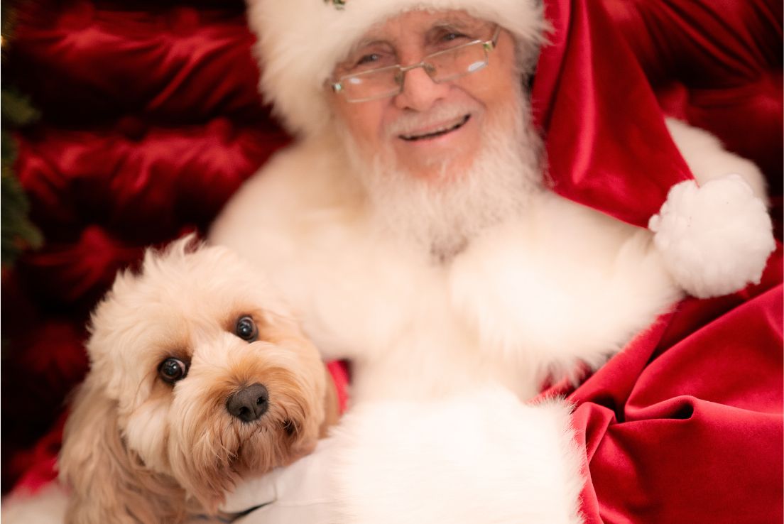 Santa photos at Pittwater Place