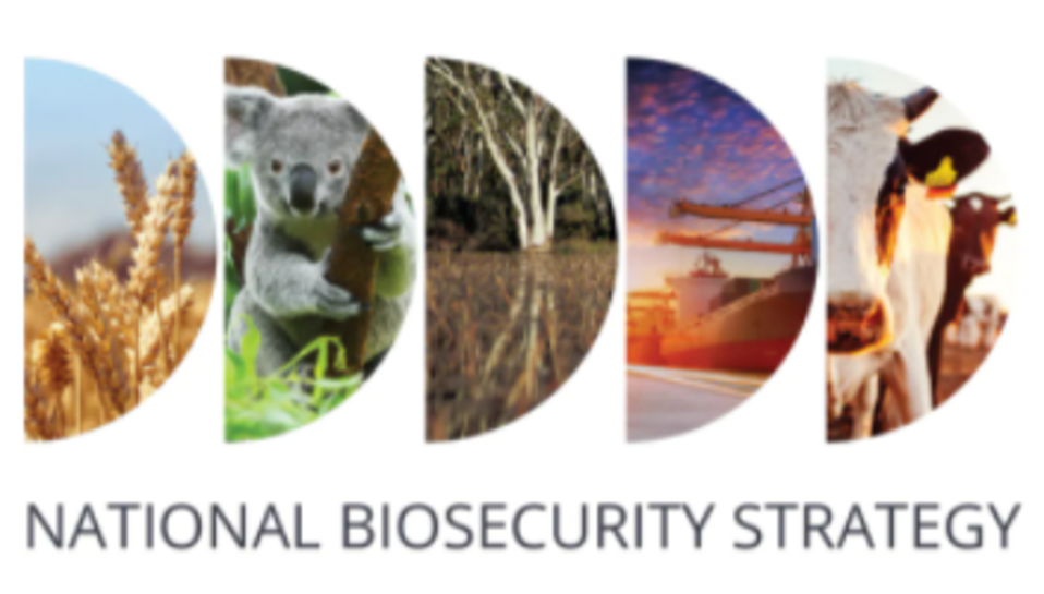 National Biosecurity Strategy.png