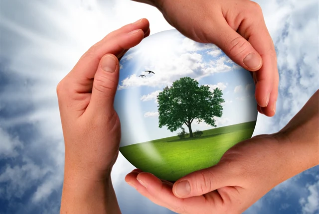 Responsible sourcing