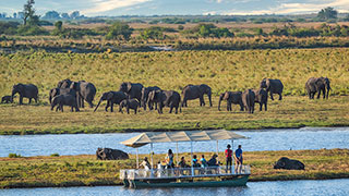 13938-BT-ChobeNationalPark-Safari-Boat-smhoz.jpg