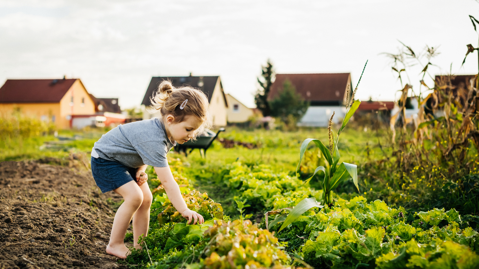 Young Girl Helping Family With Harvest At Urban Farm