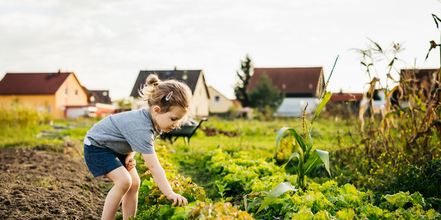 Young Girl Helping Family With Harvest At Urban Farm