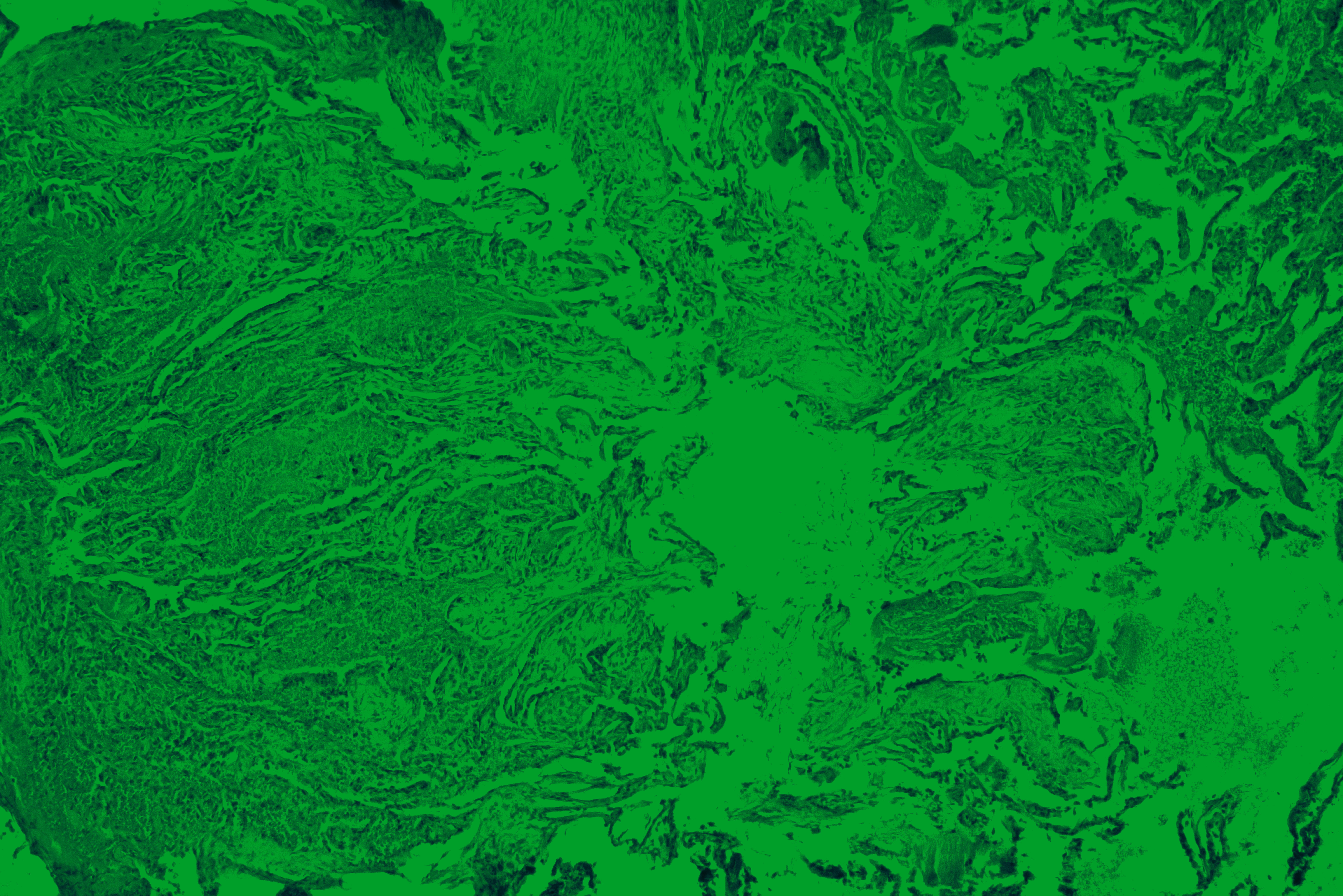 Medconnect AdobeStock_1729280888.jpg