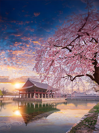 25074-KR-Gyeongbokgung-palace-vert.jpg