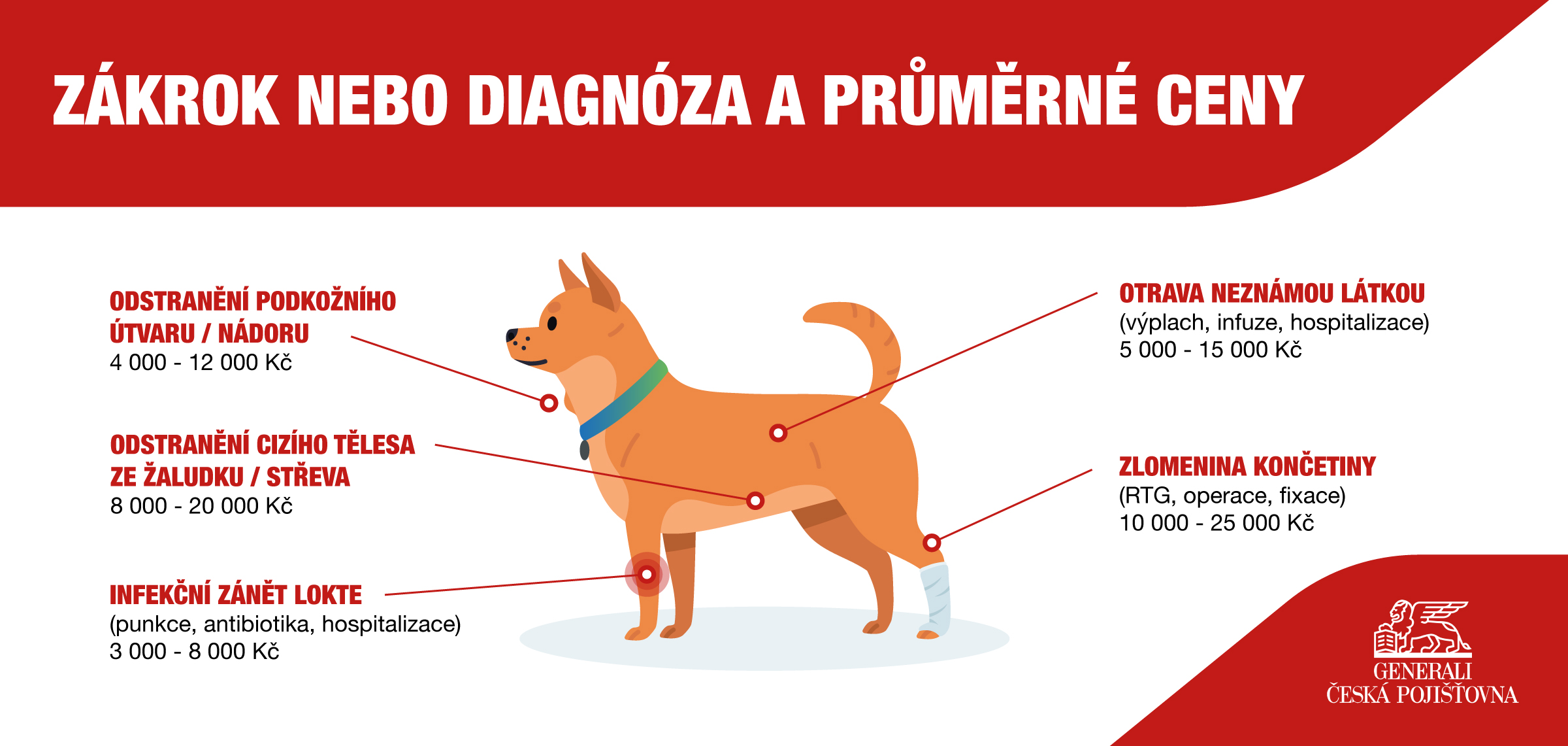 4jktFXDjKJ-2603122_GeneraliCzechia(Minigraphic)VetCosts_2_052725.jpg