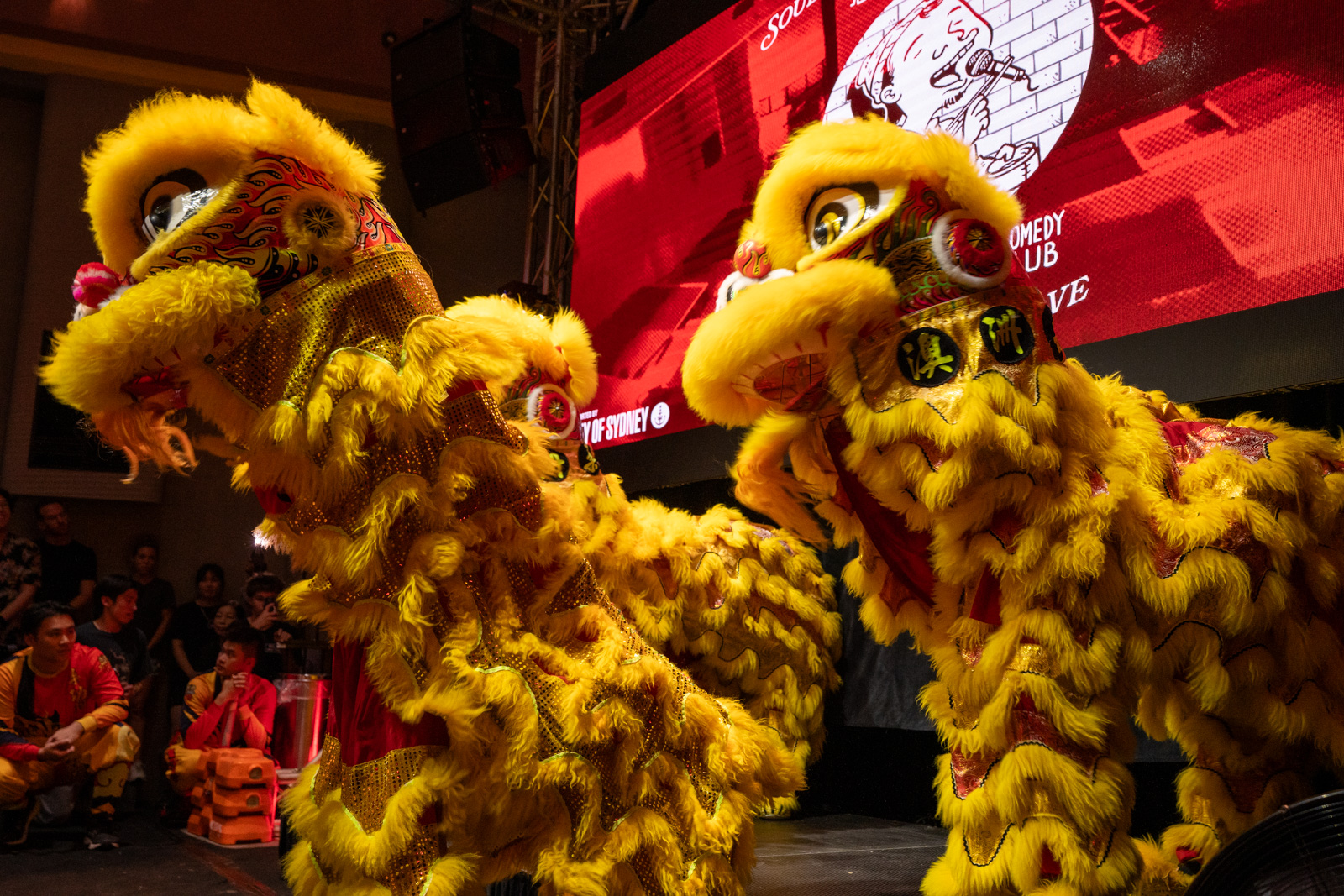 Lion dancers