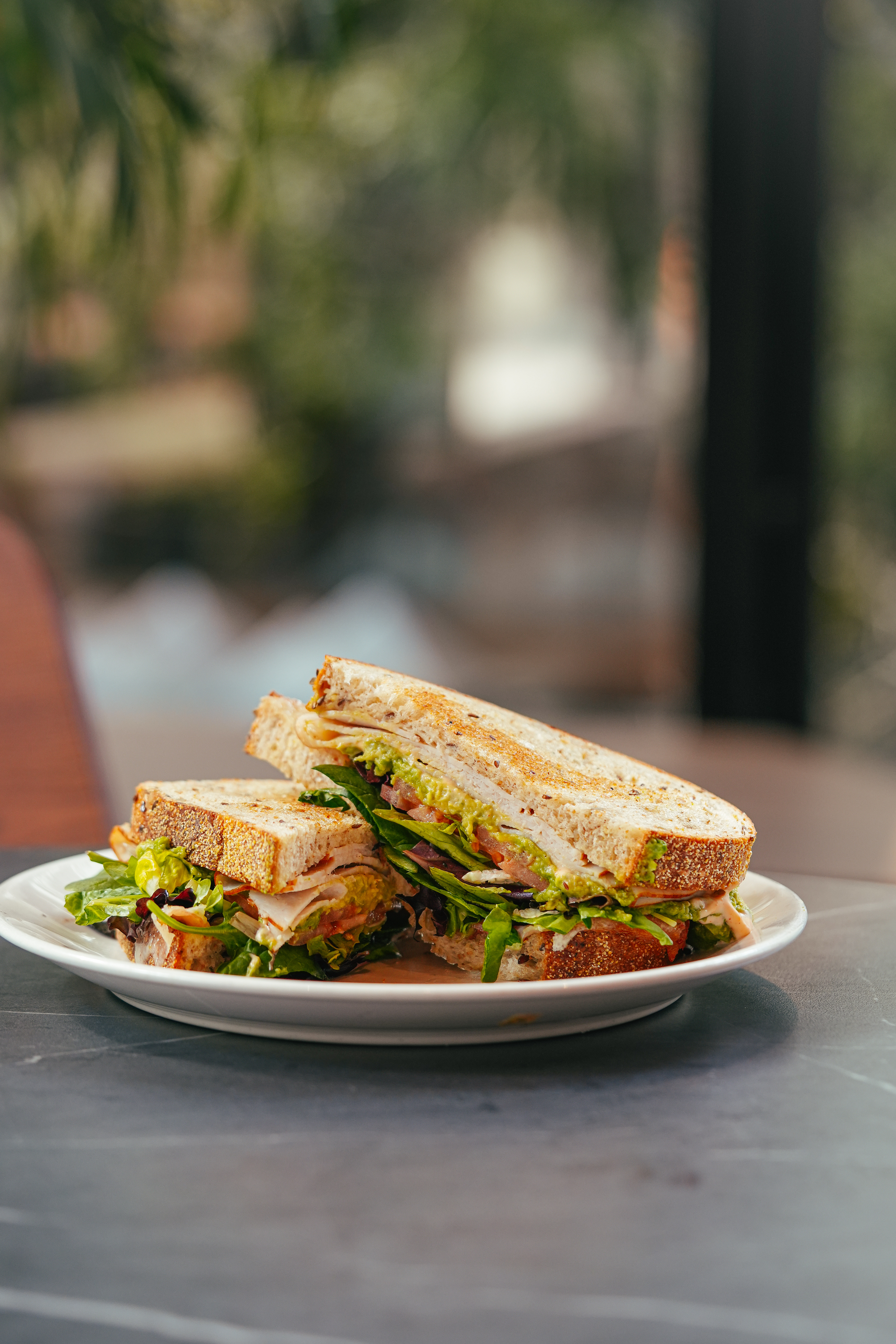 Copy of DSC04873.JPG