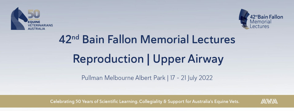 Bain Fallon 2022 banner.png