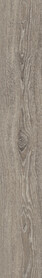 Nomad Oak