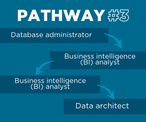 blog_your-next-move-data-architect-3.png