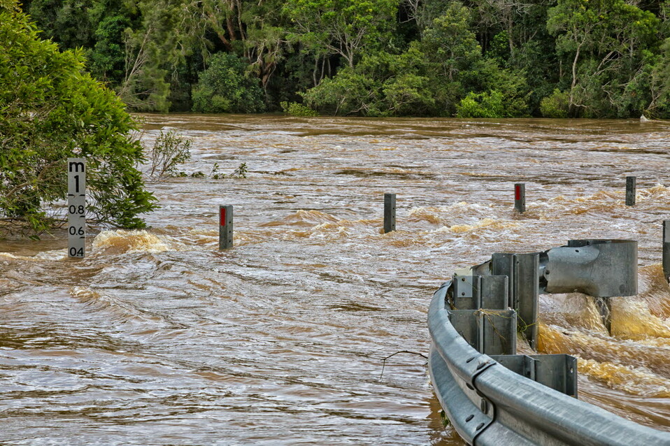 vet voice - floods - queensland