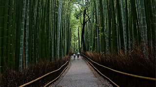 23294-japan-kyoto-arashiyama-smhoz.jpg