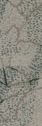 Fennel Vibe