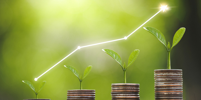 Seedling are growing on coins are stacked and the seedlings in Concept of finance And Investment of saving money or financial and business growth for profit