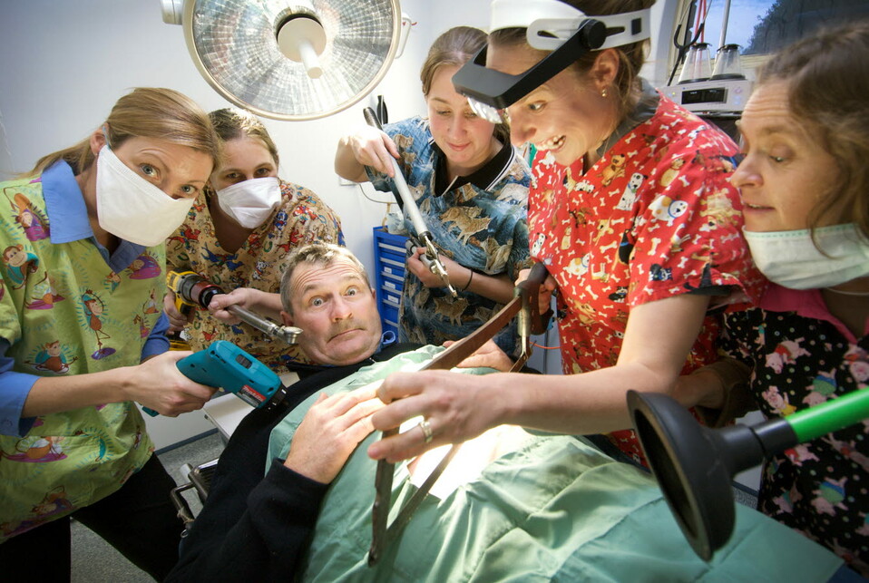 Swans-Veterinary-Services.jpg