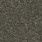 Gilded Quill