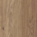 Warm Teak