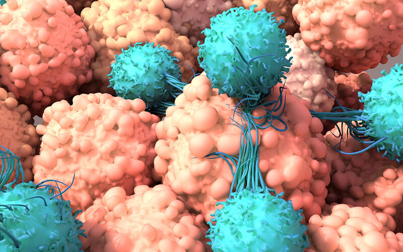 graphic rendering of CAR T cell attacking cancer cell