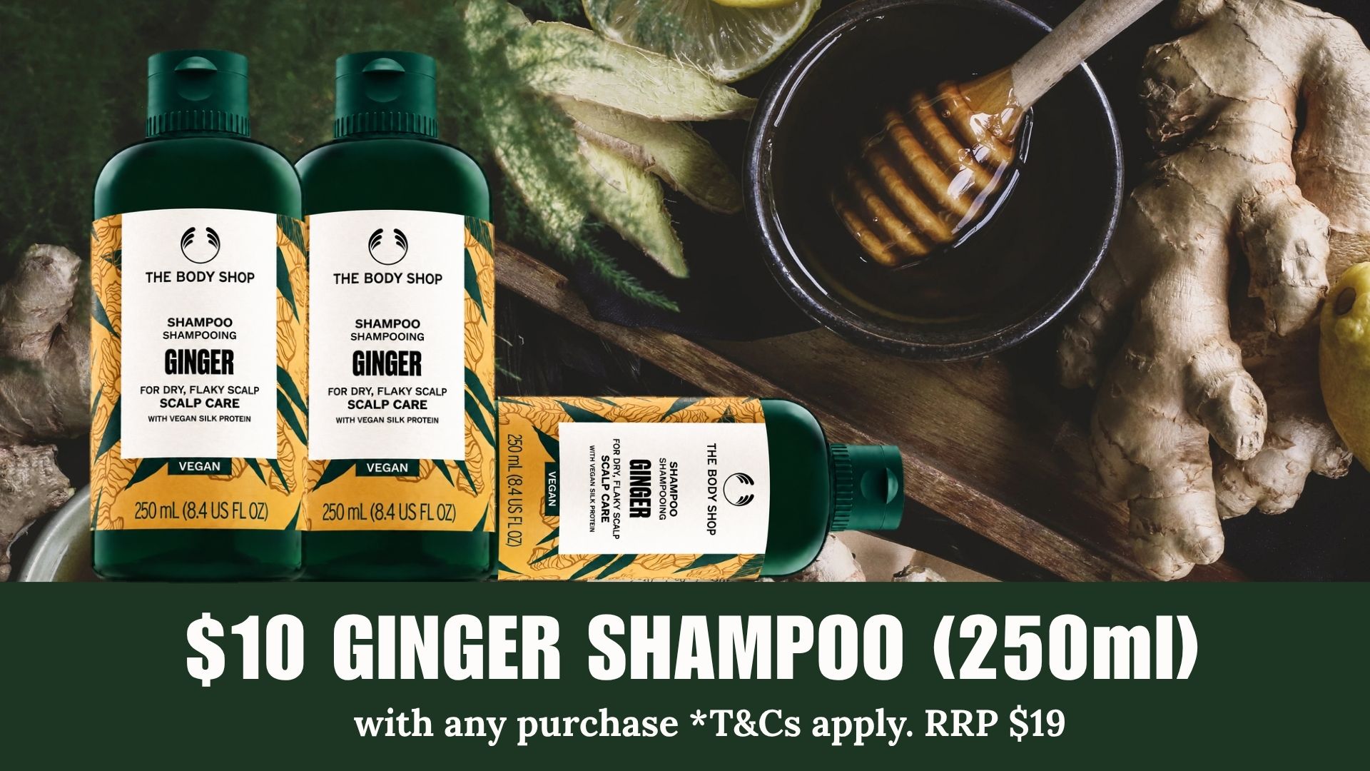 ginger shampoo