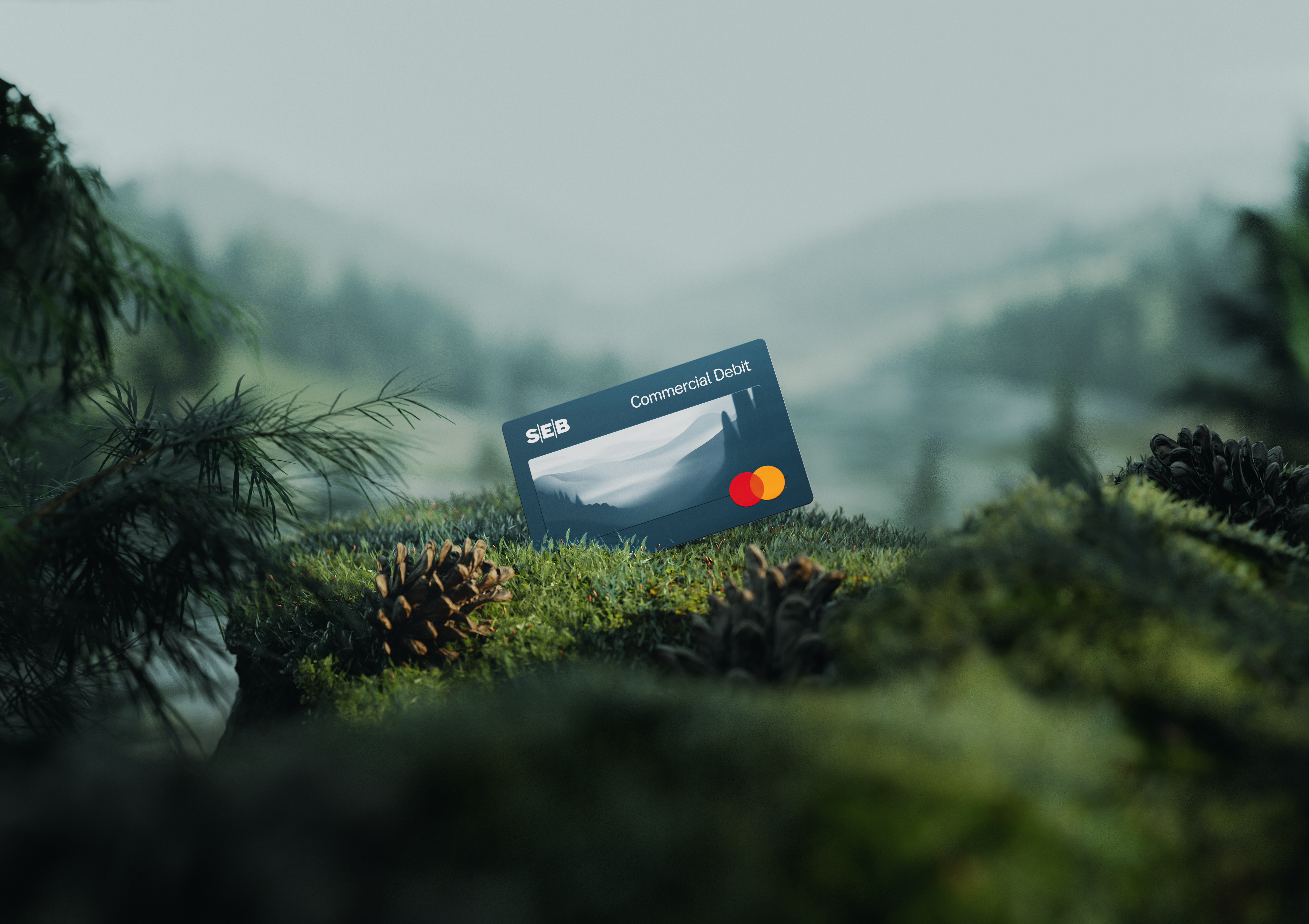SEB Commercial debit card