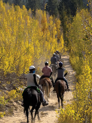 People horseback riding along a narrow dirt trail surrounded by vibrant yellow autumn trees in the High Sierra Nevada wilderness of California.