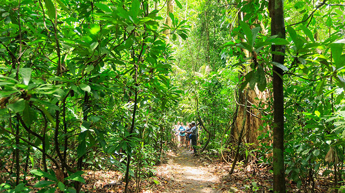 The Best of Costa Rica: Exploring Natural Wonders