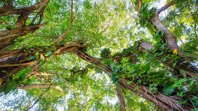 The Best of Costa Rica: Exploring Natural Wonders