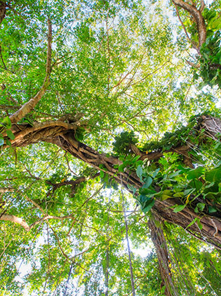The Best of Costa Rica: Exploring Natural Wonders
