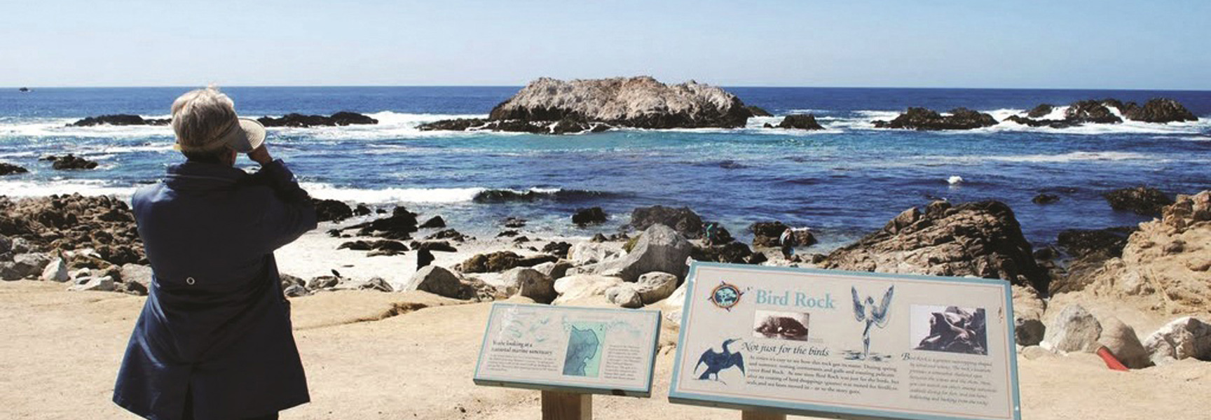 A person using binoculars looks out at Bird Rock from a sandy viewpoint with interpretive signs at Monterey Bay in California.