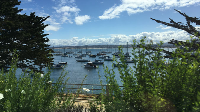 Magical Monterey