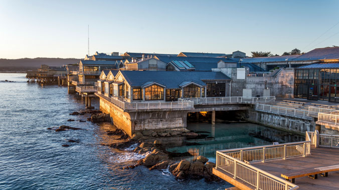 Magical Monterey