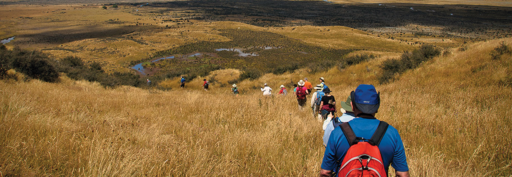 A group of hikers walks down a golden, grassy hillside in a wide-open valley in New Zealand.
