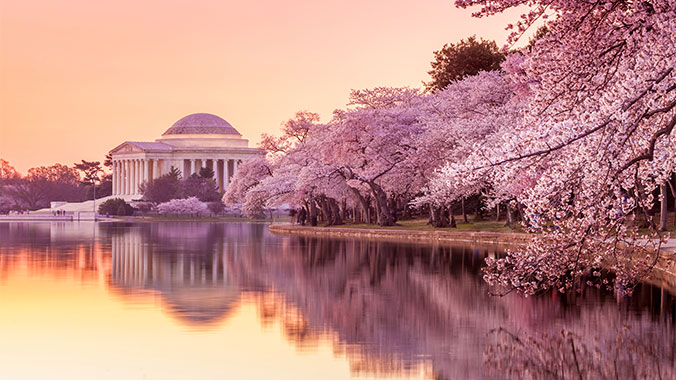 The Jefferson Memorial in Washington, D.C. is seen across the Tidal Basin at sunset, with blooming pink cherry blossoms framing the shot.