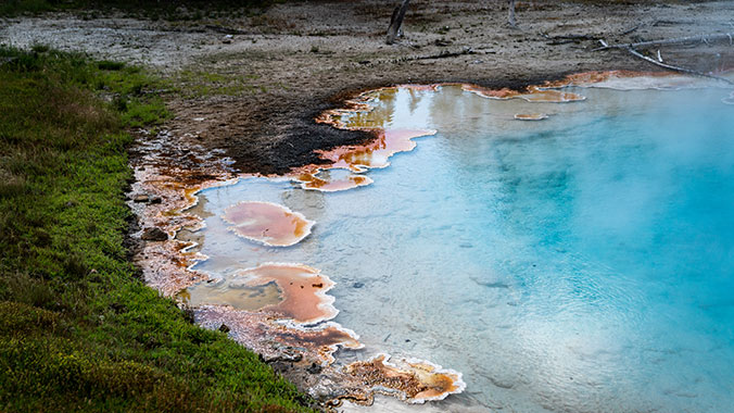 Wildlife and Geysers in Yellowstone with Your Younger Grandchild