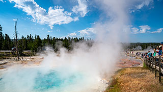 Wildlife and Geysers in Yellowstone with Your Younger Grandchild