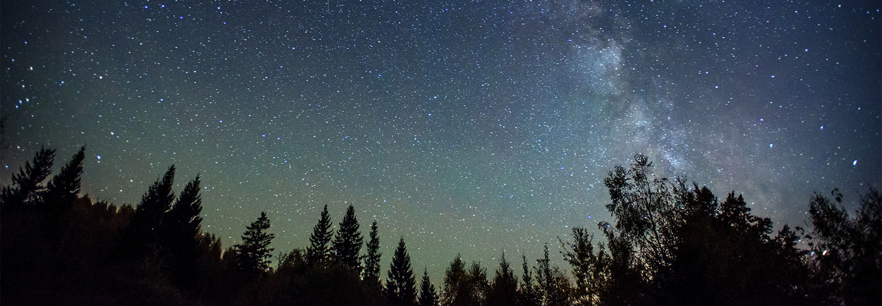 A star-filled night sky and the Milky Way glow above a silhouetted treeline at the Grand Canyon in Arizona.