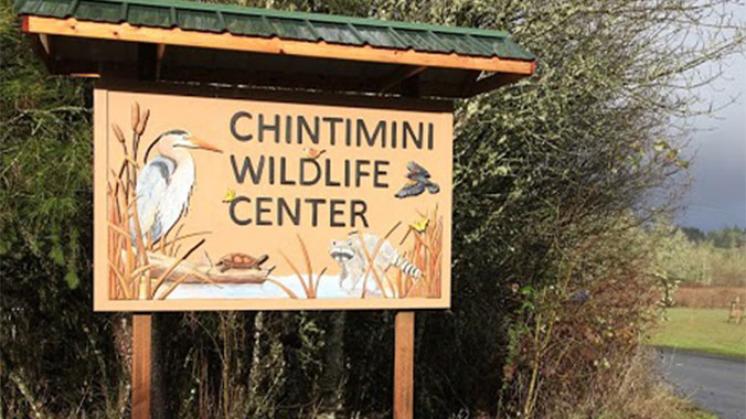 Learn about animals with your grandchild
