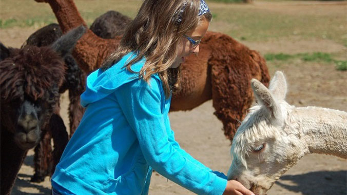 Learn about animals with your grandchild
