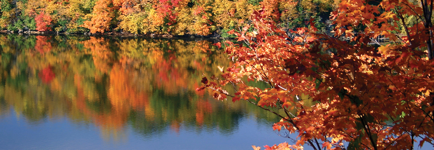 A forest of vibrant red, orange, and yellow autumn leaves in New England is reflected in the calm water of a lake.