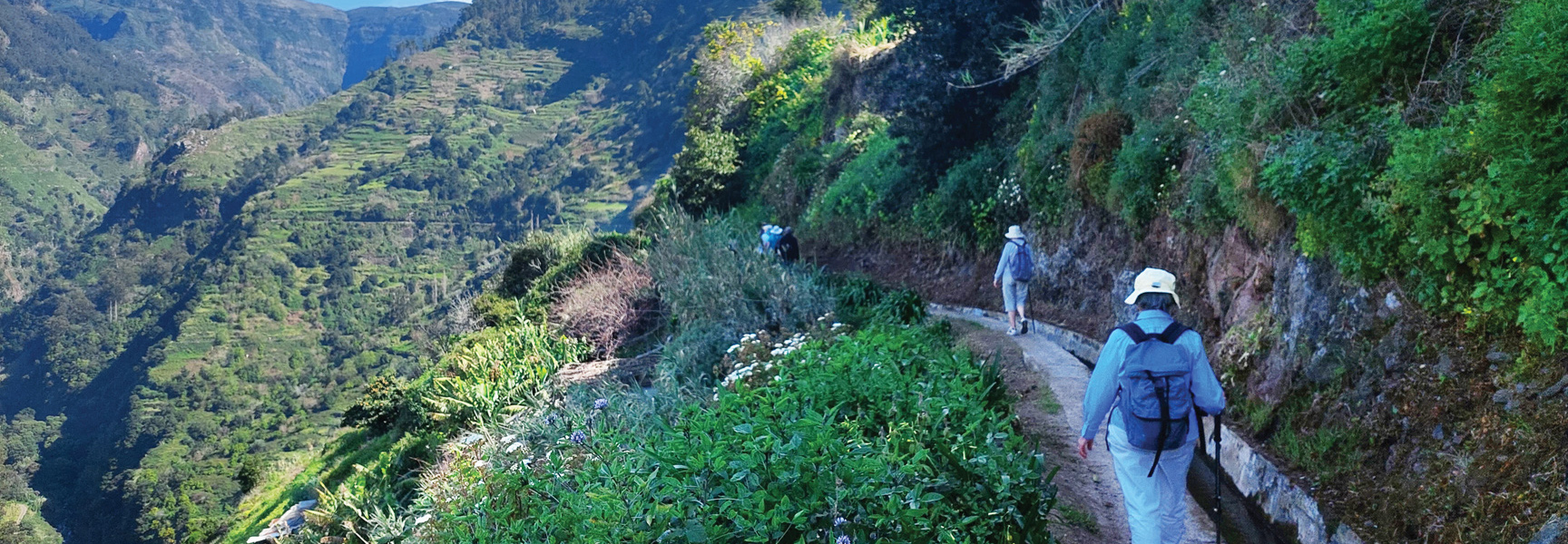 A group of hikers walks along a narrow path on a lush, terraced mountainside in Madeira, Portugal.